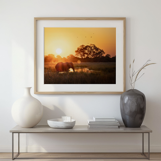 Elephant Okavango Delta