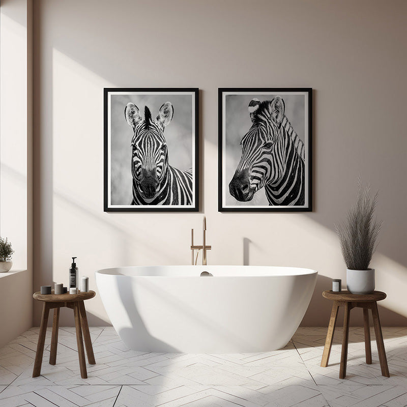 Chobe Zebras (set)